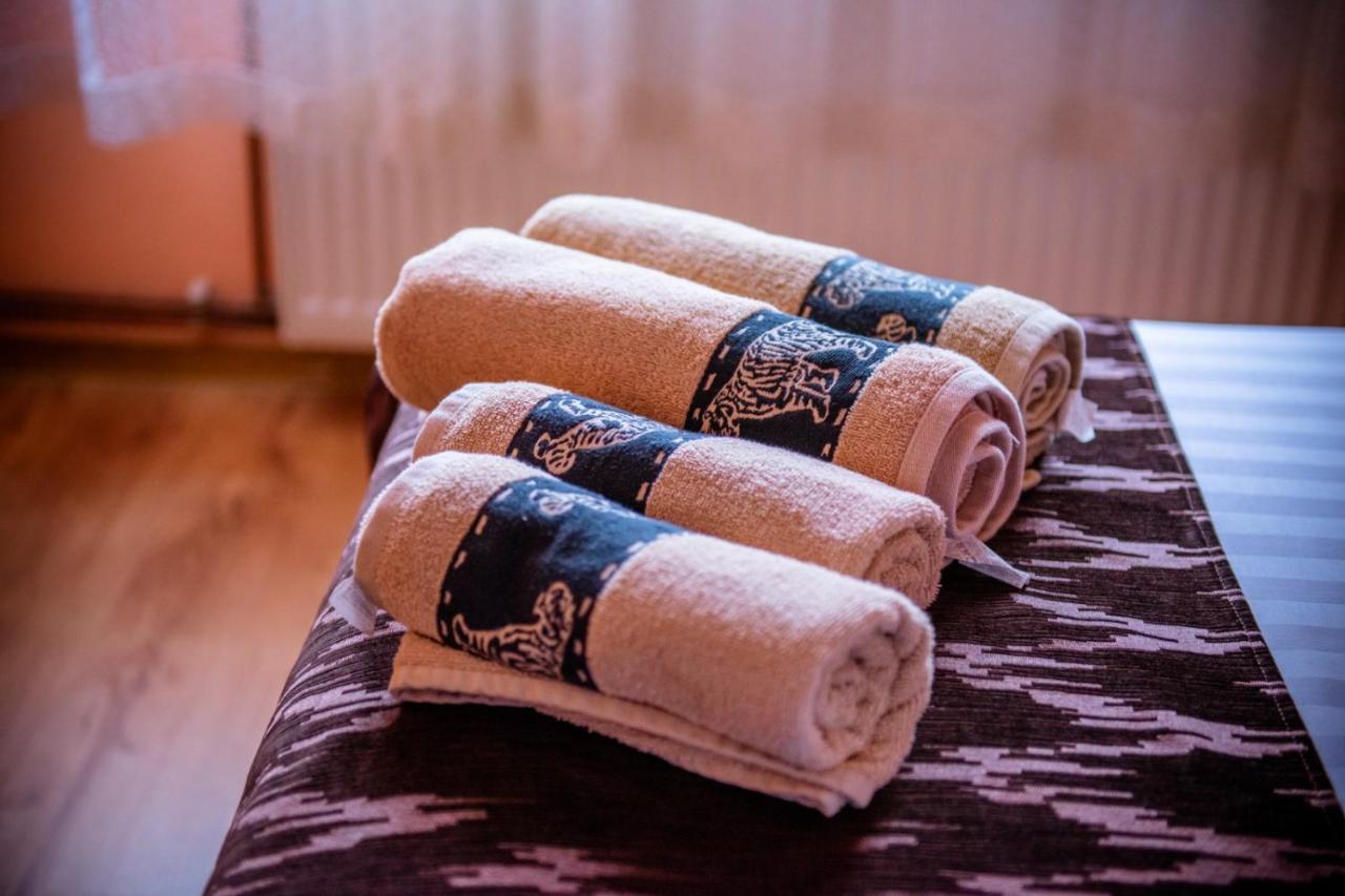 Hotel Popasul Drumetului Transfagarasan Curtea de Argeş Exteriér fotografie